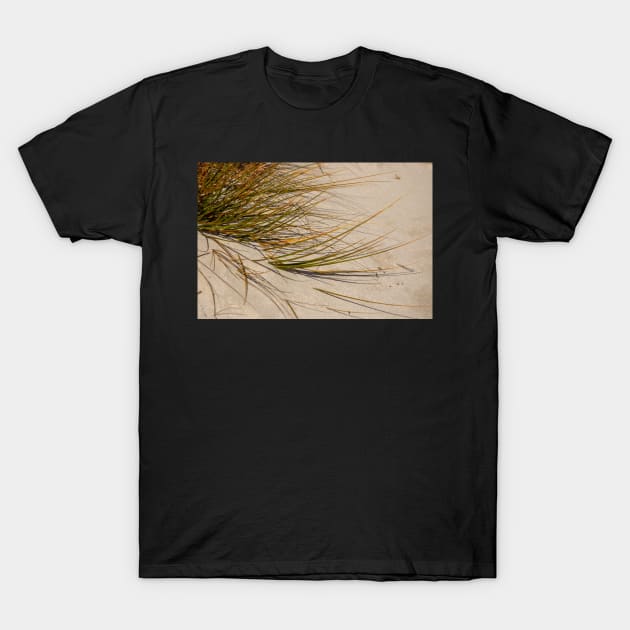 Sand grass. T-Shirt by sma1050